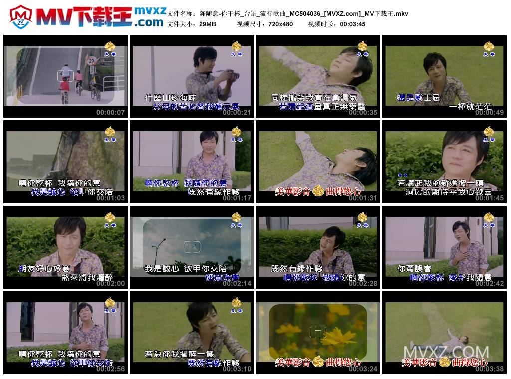 陈随意-你干杯_台语_流行歌曲_MC504036